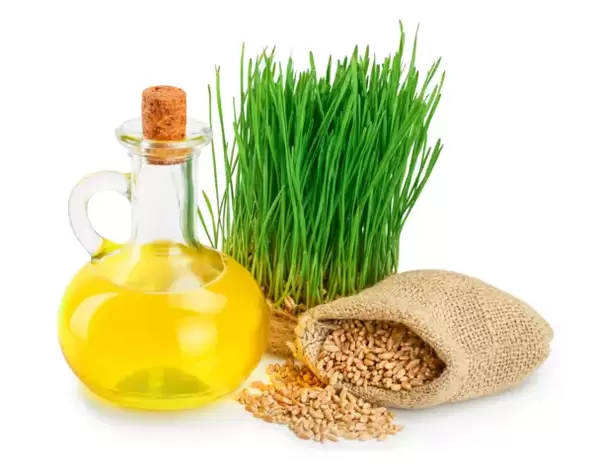 Wheat germ oil as part of the ZXCVNMQWERT cream