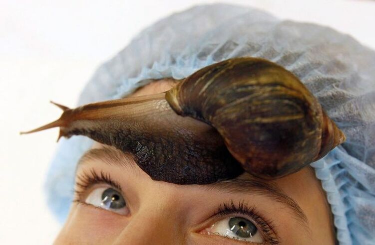 Snail rejuvenation